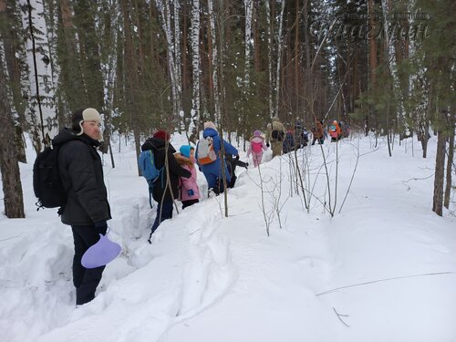 IMG_20260208_113857_894